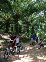 Krabi cycling